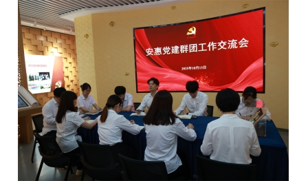 安惠開展系列黨建群團主題活動